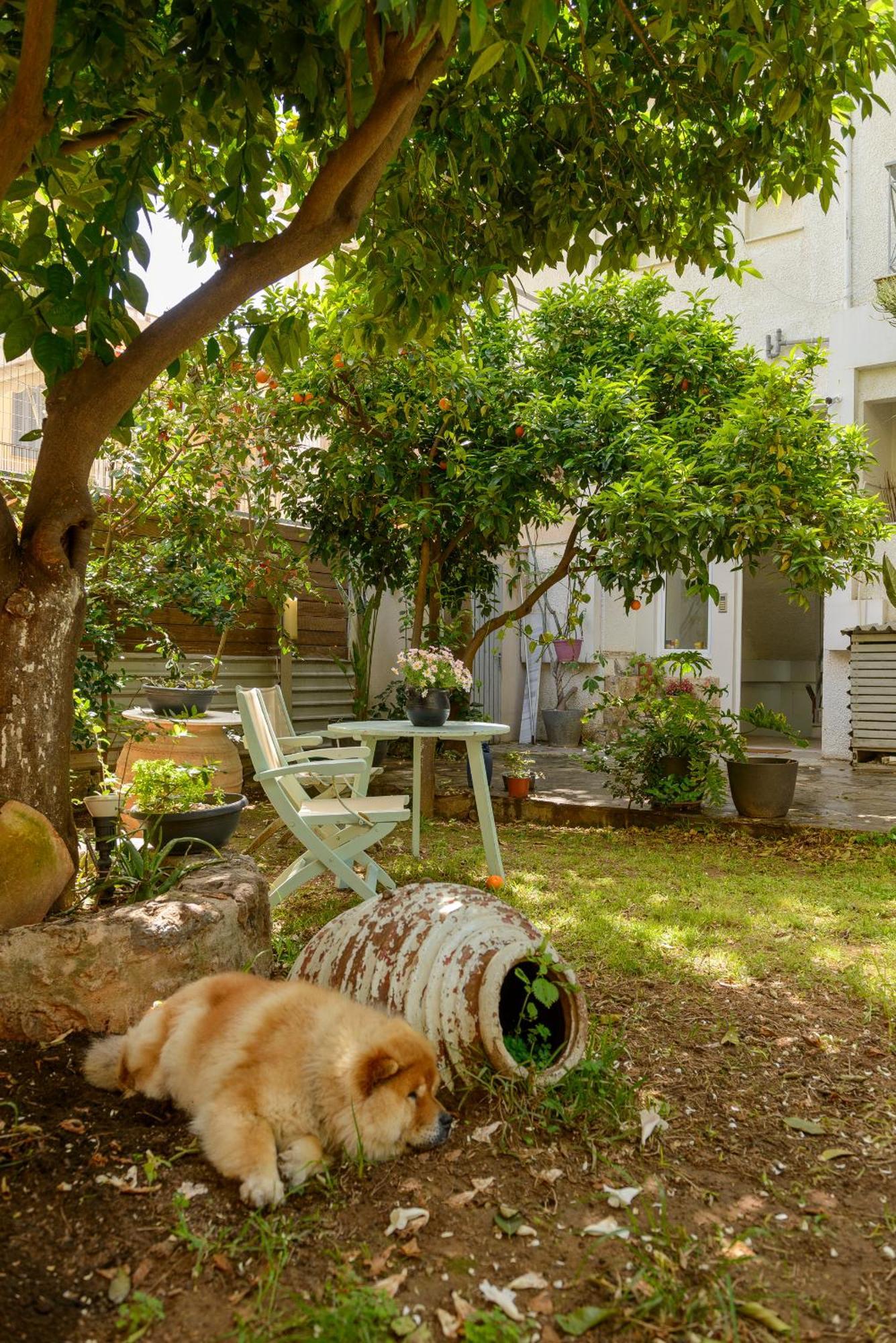 Agali 1 Mesonet In Front Of The Sea Apartment Akrogiali Bagian luar foto